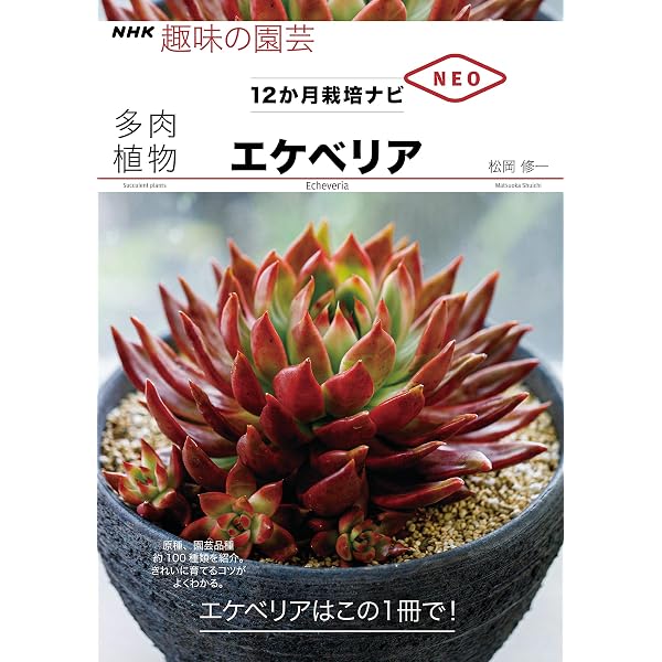 Amazon.co.jp: 実生のススメ 多肉植物 エケベリアハイブリッド図鑑